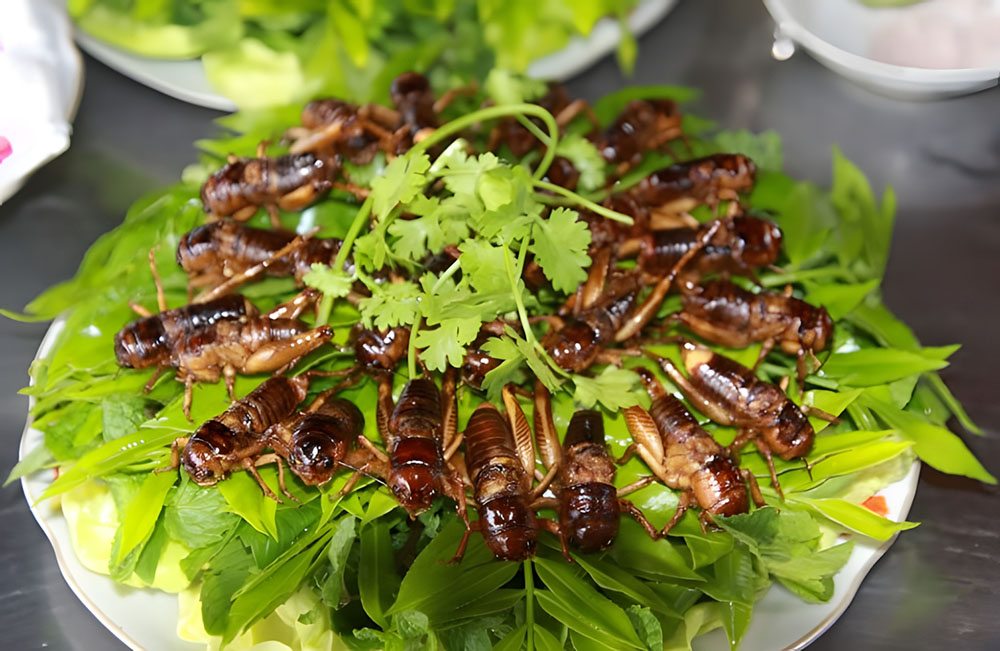 Dế chiên nước mắm