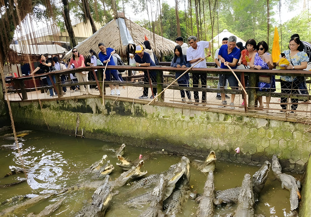 Trải nghiệm câu cá sấu